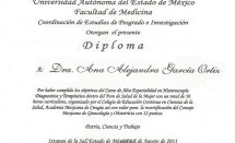 Diploma Histeroscopia